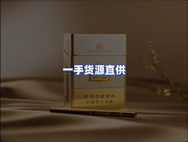 专业团队
